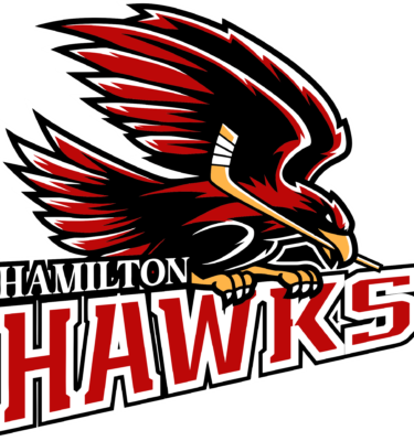 Web shop managed on behalf of Hamilton Hawks